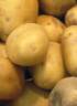 Vegetarinsk brambory