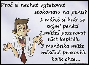 obrázek - 00342101_w300h225q95.jpg