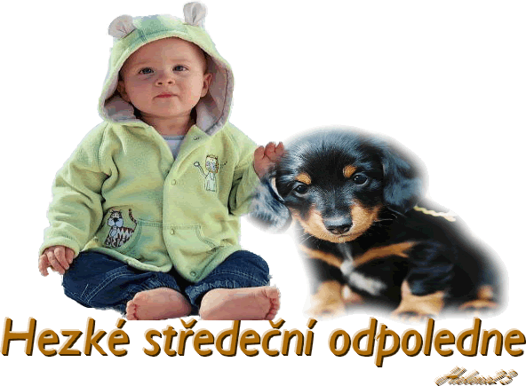 obrázek - 006_20_.gif