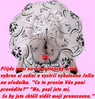 obrázek - 007(88).jpg