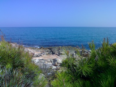 obrázek - 040920091325.jpg