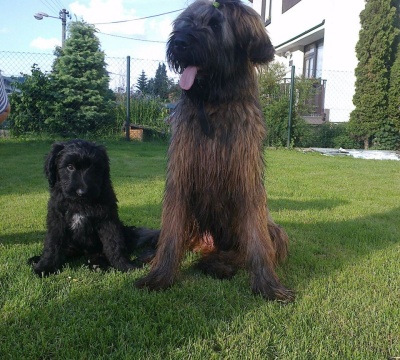 obrázek - 10553_4386043267548_1095086029_n___kopie.jpg