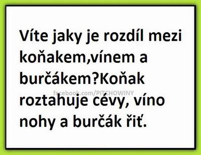 obrázek - 1111111111111111111111111111111111111.jpg