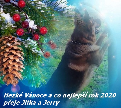 obrázek - 2020sz.jpg