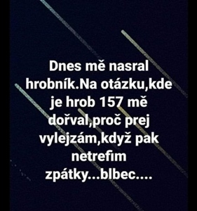 obrázek - 278162526_4997838430313081_6835433344944451152_n.jpg