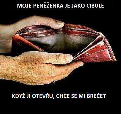 obrázek - 310036_10151349805632805_2033248522_n(1).jpg