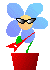 paniinka