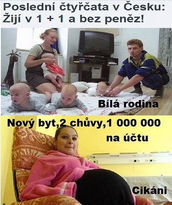 obrázek - 601142_372018839576582_1578510070_n.jpg