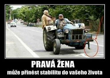 obrázek - 935727_10151609988727974_1218363170_n.jpg