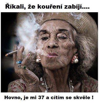 obrázek - 943074_10151390068447805_158007947_n.jpg