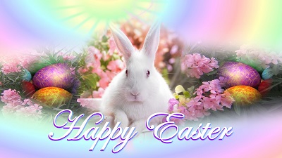 obrázek - Cute_Bunny_Wishes_Happy_Easter_Day.jpg