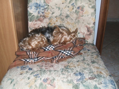obrázek - DANY_14._anni_001.jpg
