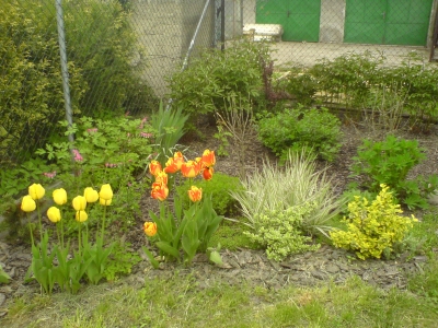 obrázek - DSC00161(1).JPG