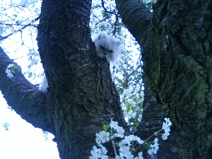 obrázek - DSC011690.jpg