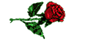 http://www.stastnezeny.cz/data/USR_001_USR_IMAGES/Elaine(2).gif