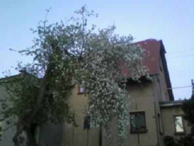 obrázek - Foto0214(54).jpg