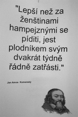 obrázek - Jan_Amos_Komensky.jpg