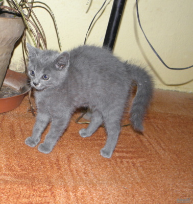 obrázek - Magdicka_038.JPG