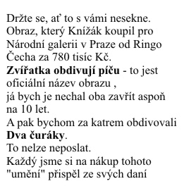 obrázek - Obraz_v_Narodni_galerii3.jpg