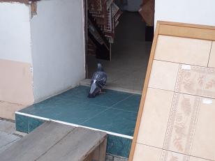 http://www.stastnezeny.cz/data/USR_001_USR_IMAGES/P6160109.JPG
