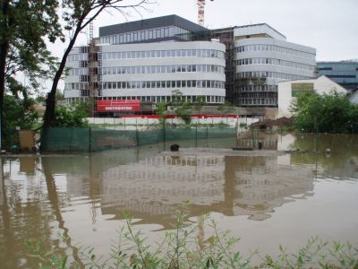 obrázek - PC053368.JPG