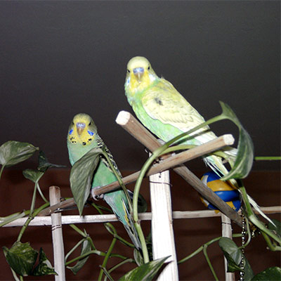 obrázek - TaF.jpg
