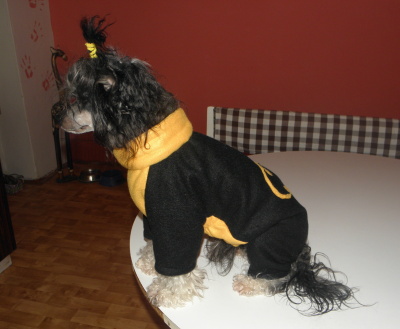obrázek - batman_011.JPG