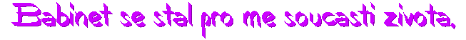 http://www.stastnezeny.cz/data/USR_001_USR_IMAGES/bb.gif