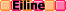 http://www.stastnezeny.cz/data/USR_001_USR_IMAGES/blik.gif