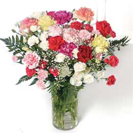 obrázek - carnation_flower_bouquets.jpg