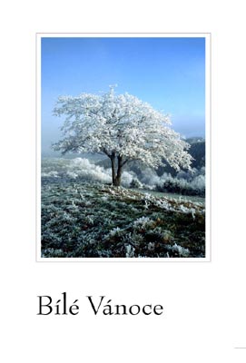 obrázek - christmas_temp3_kopie1.jpg