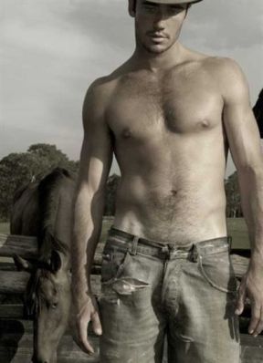 obrázek - cowboy_02.jpg
