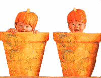 http://www.stastnezeny.cz/data/USR_001_USR_IMAGES/deti_kvetinac(1).gif
