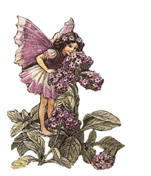 http://www.stastnezeny.cz/data/USR_001_USR_IMAGES/eileen3(1).gif