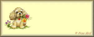 http://www.stastnezeny.cz/data/USR_001_USR_IMAGES/elaine_pejsek.gif