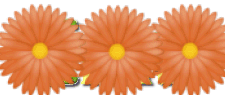 http://www.stastnezeny.cz/data/USR_001_USR_IMAGES/elene_gerbery.gif