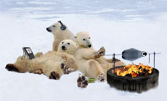 obrázek - grilovacka_medvedi.gif