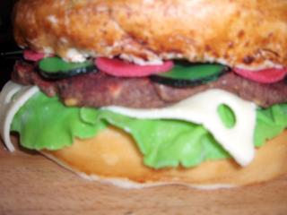 obrázek - hamburgerSZ2.jpg