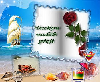 obrázek - hezkou_nedeli_s_ruzi.jpg