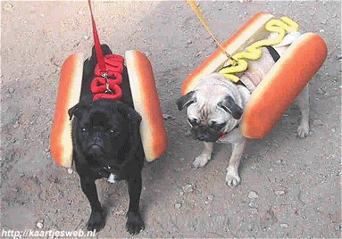 http://www.stastnezeny.cz/data/USR_001_USR_IMAGES/hot_dog.gif