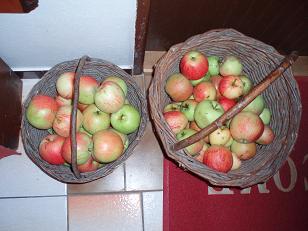 http://www.stastnezeny.cz/data/USR_001_USR_IMAGES/jablka(3).JPG