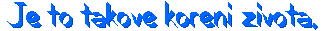 http://www.stastnezeny.cz/data/USR_001_USR_IMAGES/jk.gif