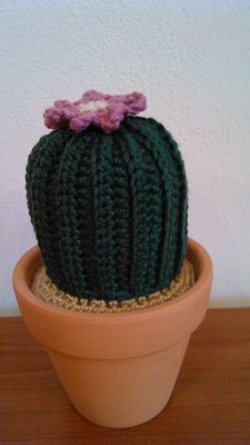 obrázek - kaktus(25).jpg