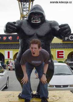 obrázek - kingkong(2).jpg