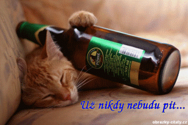 obrázek - kocka_uz_nebudu_pit(3).gif