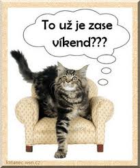 obrázek - kocka_vikend_2(1).jpg