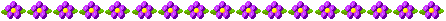http://www.stastnezeny.cz/data/USR_001_USR_IMAGES/linka_kyticky.gif