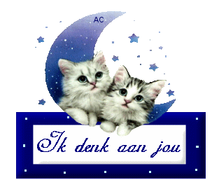 http://www.stastnezeny.cz/data/USR_001_USR_IMAGES/mesic_kocky.gif