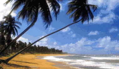 http://www.stastnezeny.cz/data/USR_001_USR_IMAGES/more3.gif