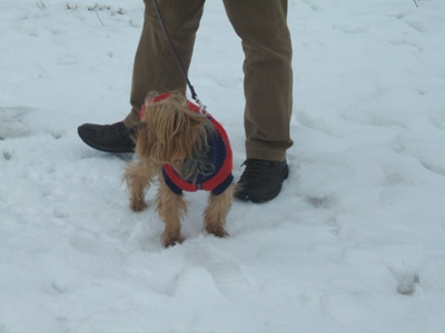 obrázek - natale_2008_161.jpg